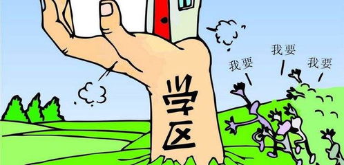 双赢之道 学区房与教育投资的前景与策略